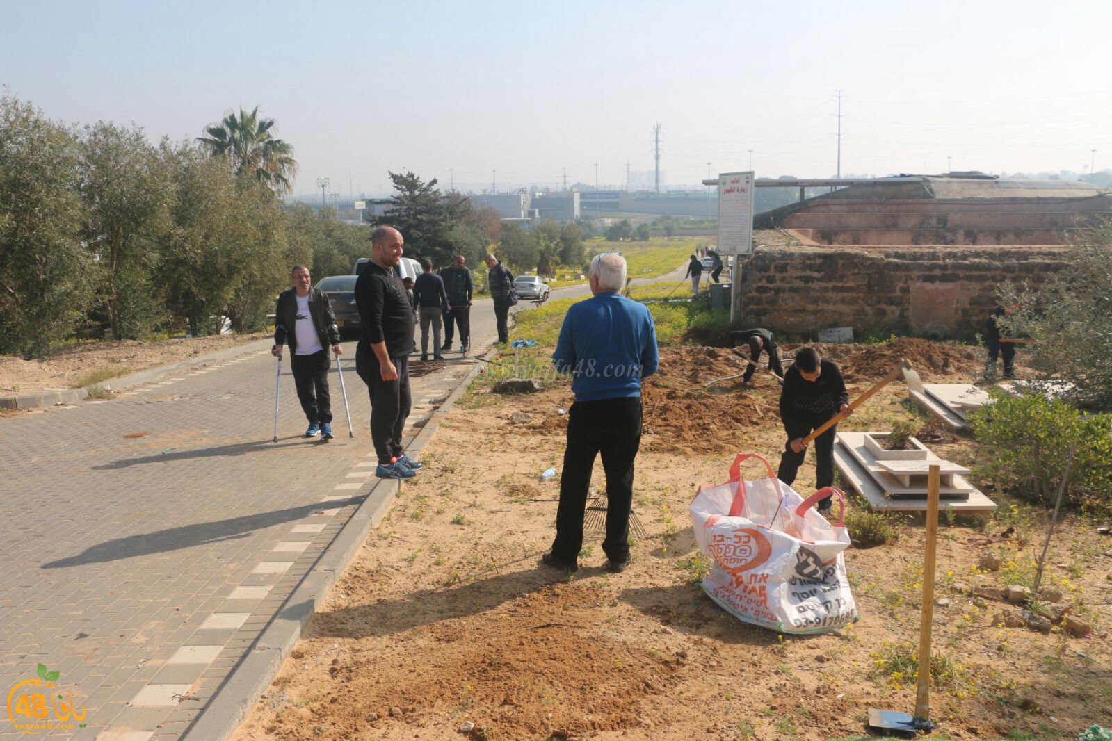 taso 23 tendedf (1).jpg